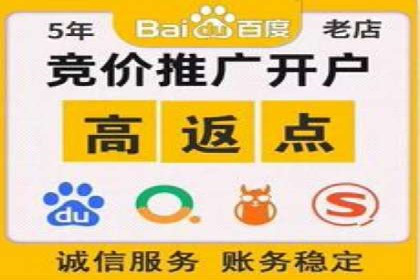 SEM托管公司案例分析：数据驱动决策